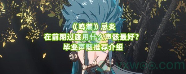 《鸣潮》忌炎在前期过渡用什么声骸最好？毕业声骸推荐介绍