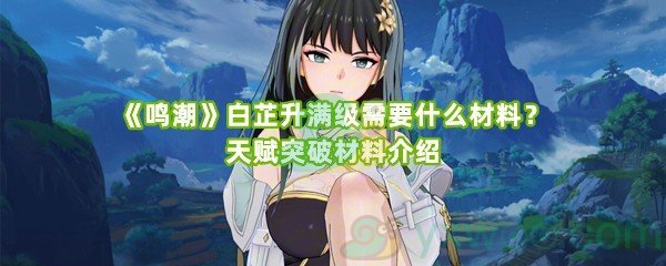 《鸣潮》白芷升满级需要什么材料？天赋突破材料介绍