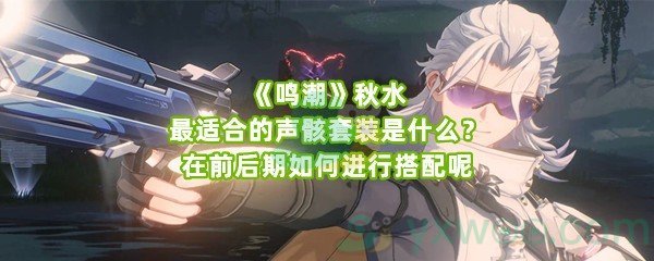 《鸣潮》秋水最适合的声骸套装是什么？在前后期如何进行搭配呢