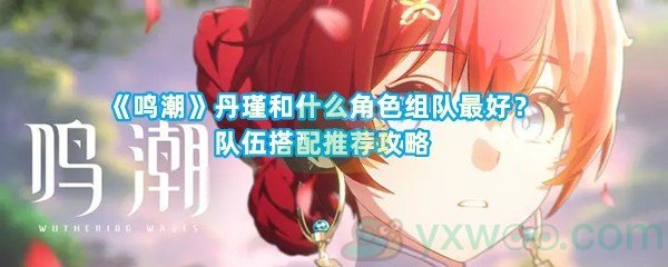 《鸣潮》丹瑾和什么角色组队最好？队伍搭配推荐攻略