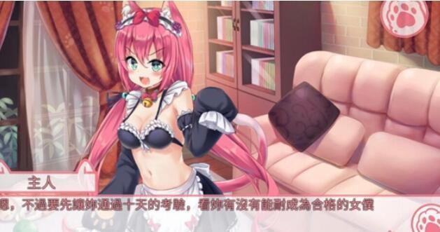 neko hiroi mashita