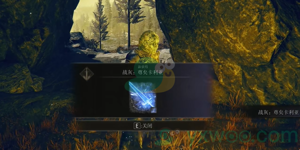 《艾尔登法环黄金树之影》尊矣卡利亚如何收集呢？具体收集攻略指南