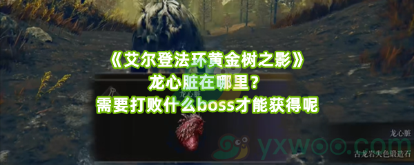 《艾尔登法环黄金树之影》龙心脏在哪里？需要打败什么boss才能获得呢