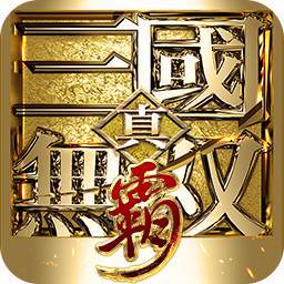 真·三国无双：霸
