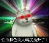 奇怪的知识增加了表情包