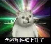 奇怪的知识增加了表情包