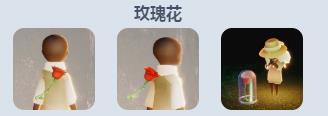 《sky光遇》小王子季物品图鉴介绍