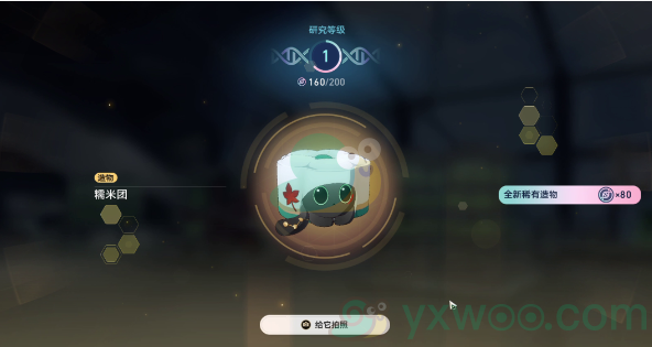 《崩坏：星穹铁道》1.6异宠拾遗活动宠物如何培育呢？最详细培育攻略