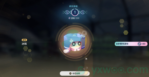 《崩坏：星穹铁道》1.6异宠拾遗活动宠物如何培育呢？最详细培育攻略