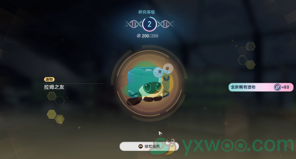 《崩坏：星穹铁道》1.6异宠拾遗小宠物怎么照顾呢？照顾攻略介绍