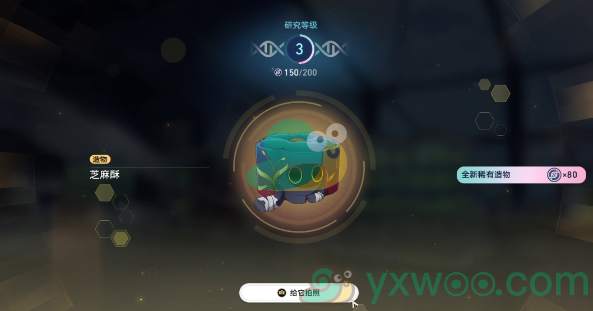 《崩坏：星穹铁道》1.6异宠拾遗小宠物怎么照顾呢？照顾攻略介绍