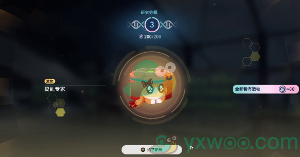 《崩坏：星穹铁道》1.6异宠拾遗小宠物怎么照顾呢？照顾攻略介绍