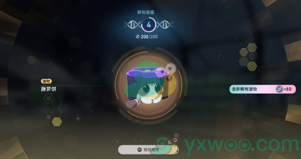《崩坏：星穹铁道》1.6异宠拾遗团聚任务是什么？有什么成就呢