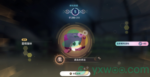 《崩坏：星穹铁道》1.6异宠拾遗团聚任务是什么？有什么成就呢